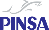 PINSA